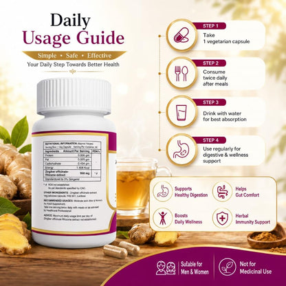 ANJIX Ginger Root Extract, Zingiber Officinale, 3% Gingerol, 500 mg, Pack of 60 Veg Capsules