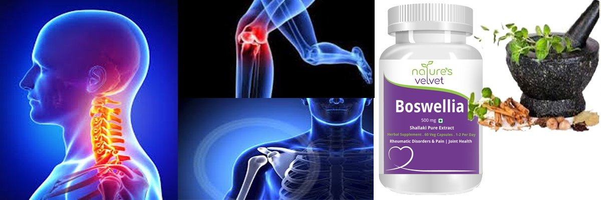 Natures Velvet Lifecare 500 mg Boswellia Serrata Pure Extract Tablet -- image 3