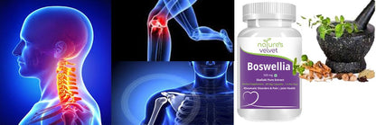 Natures Velvet Lifecare 500 mg Boswellia Serrata Pure Extract Tablet -- image 3