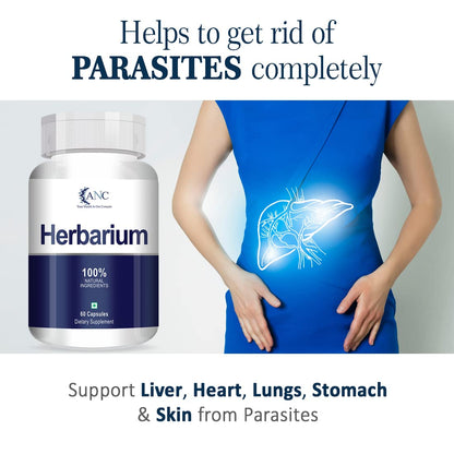 ANC Herbarium 500mg Support Supplements to Protects Liver, Heart, Lungs- image 8