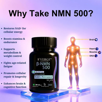BVERGE® NMN Supplement 500mg |100% Purity | BONTAC Pro NMN World's Most Trusted & Trusted by Experts | Healthy Ageing | Repair Cells | Enhance Muscle | Neuro Function (500MG 30 Capsules)