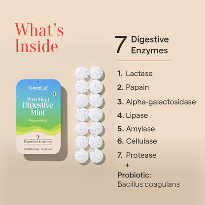 The Good Bug Post Meal Digestive Mints – Peppermint | Post Meal Digestion Booster | 7 Digestive Enzymes | Helps Reduce Post-Meal Heaviness, Bloating, Acidity & Discomfort | No Added Sugar | 28 Mints (14 x 2 Packs) (Pack Of 2, Peppermint)