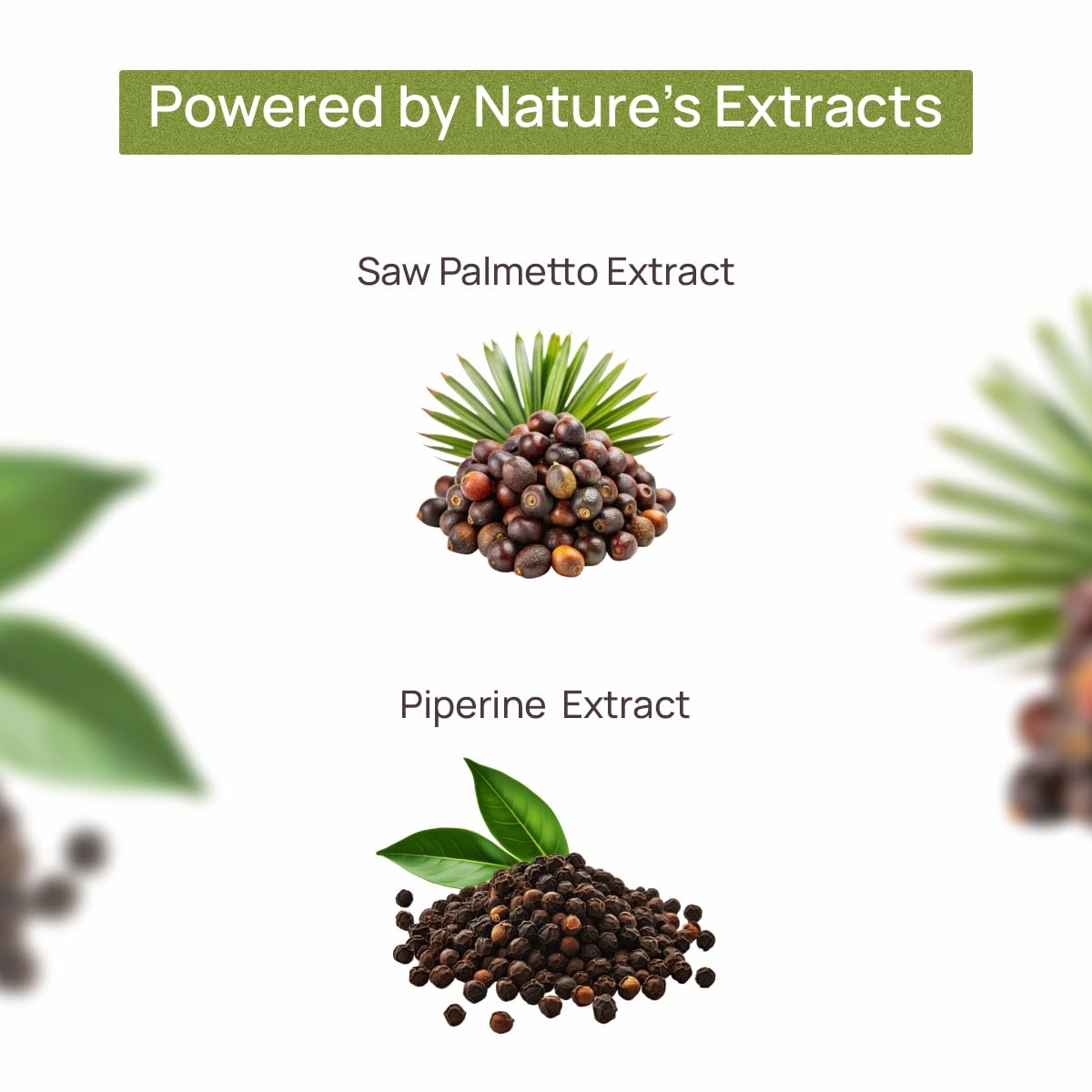 Bliss Welness Saw Palmetto Extract 800 MG | Hair Growth Prostate Health- image 6