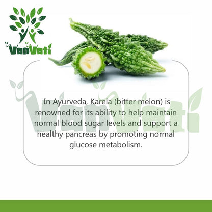 VANVATI Premium Karela Powder Herbal For Health Care And Wellness Powder 100gm