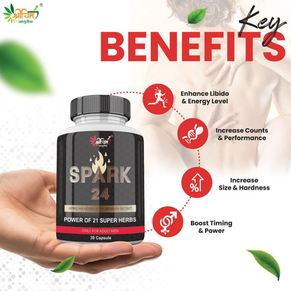 Shrichitt Ayurveda Spark 24 Herbal Capsules | Ayurvedic Herbal Supplement | 30 Capsules (Pack of 1)