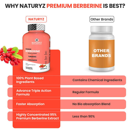 NATURYZ Premium Berberine + Cinnamon + Turmeric Weight Loss Supplement for Women – Vegetarian