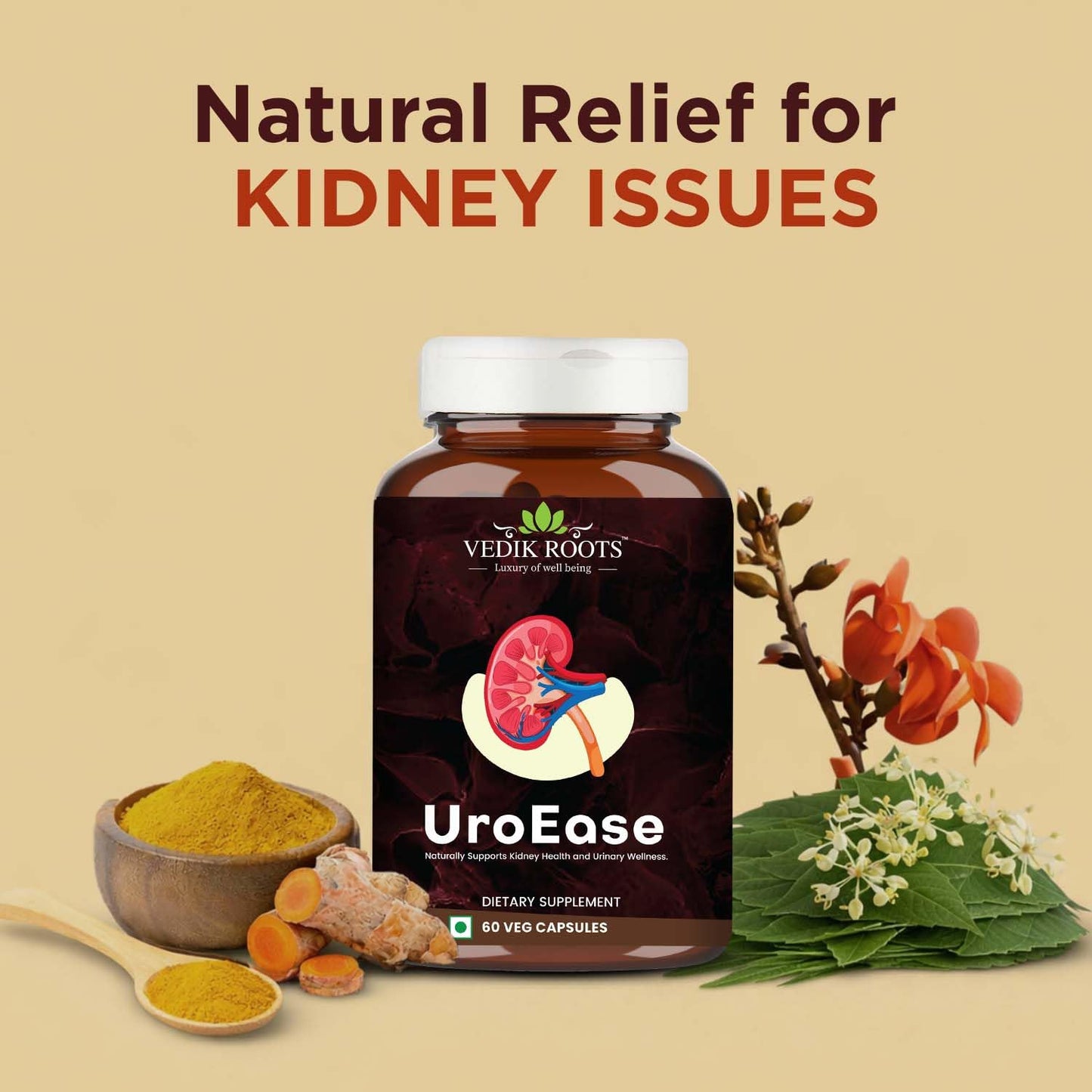 Vedikroots UroEase Ayurvedic Herbal Supplement Capsules to Help Maintain Kidney Health & Uric Acid Level | Provides Support to Manage Urinary Tract | 60 Veg Capsules (Pack of 2)