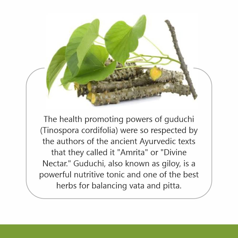 Jain Guduchi (Tinospora Cordifolia) Powder - 400 gms- image 9