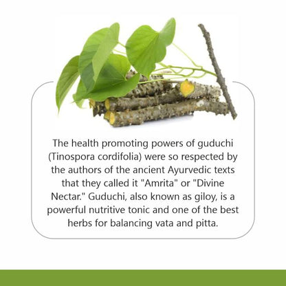 Jain Guduchi (Tinospora Cordifolia) Powder - 400 gms- image 9