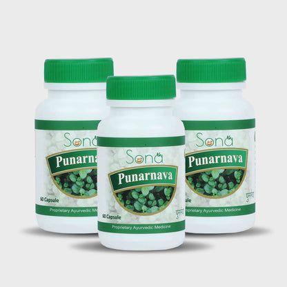 Sona Health Care Punarnava Extract Capsules – Pack of 3