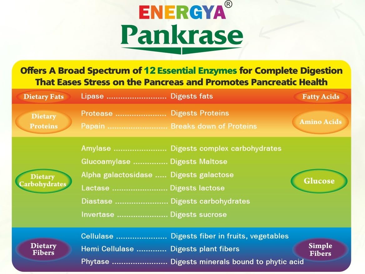 PANKRASE Multidigestive Enzyme Supplement | 12 Broad Spectrum Enzymes for Digestive Health | Relieves Gas & Bloating | Supports Nutrient Absorption & IBS Symptoms | (Pack of 2)