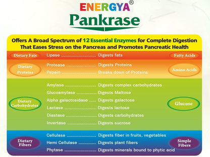PANKRASE Multidigestive Enzyme Supplement | 12 Broad Spectrum Enzymes for Digestive Health | Relieves Gas & Bloating | Supports Nutrient Absorption & IBS Symptoms | (Pack of 2)
