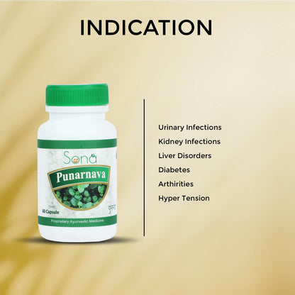 Sona Health Care Punarnava Extract Capsules – Pack of 2