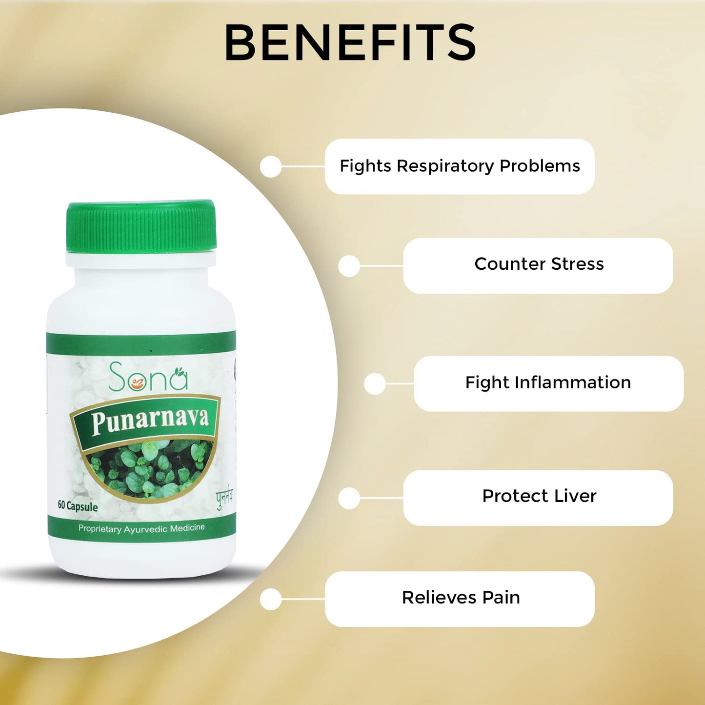 Sona Health Care Punarnava Extract Capsules – Pack of 2