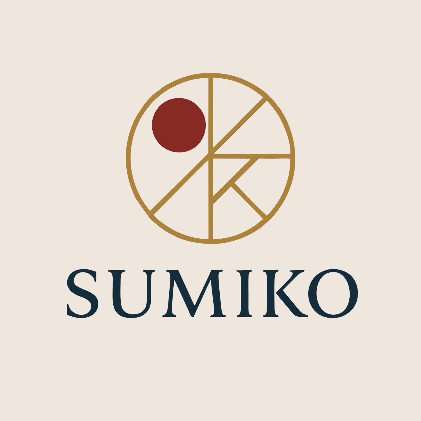 Sumiko Large Weekly Pill Medicine Organizer Box 4 Times A Day | One Week Daily Tablets Container | Weekly Pill Cases Portable for Pills Vitamin Fish Oil Supplements | For Travel & Gifts (Black)