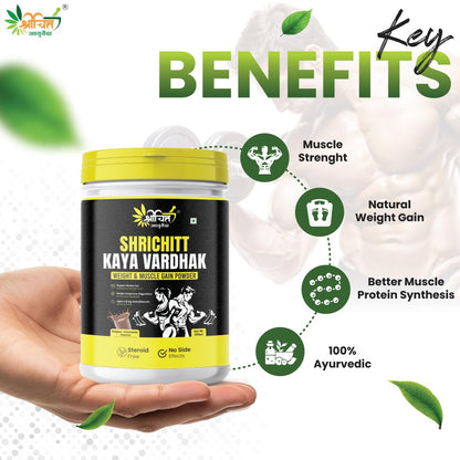 Shrichitt Ayurveda Kaya Vardhak Herbal Nutrition Powder for Weight & Muscle Support | Belgian Chocolate Flavour | 200g (Pack of 1)