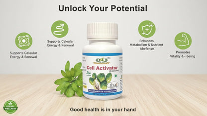 Naveenya Kaya Healthcare Cell Activator Capsule