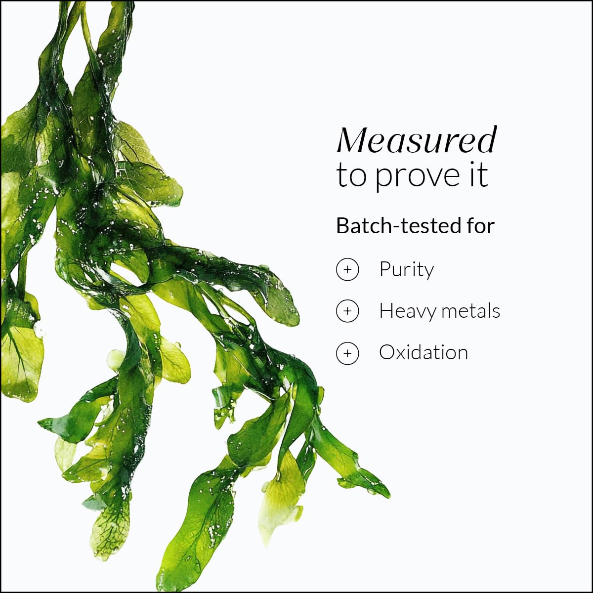 NUTROVA Complete Omega 3 Vegan and Gelatin-Free 60 capsules with Marine Algal Extract Containing 17% vegan-sourced DHA – Supports Cardio Health, Skin & Hair etc - Ideal for Vegans & Vegetarians