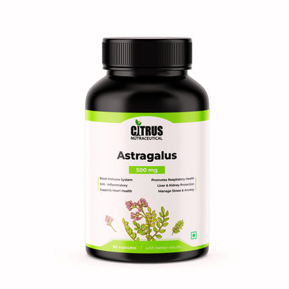 CITRUS NUTRACEUTICAL Astragalus Root Extract 500mg