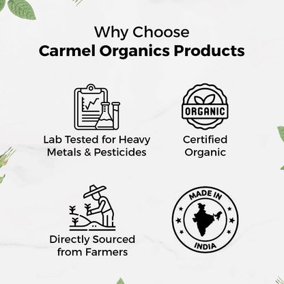 CARMEL ORGANICS Turmeric Root Powder(340 g (Pack of 1))| Haldi Powder | Jaivik Bharat Certified | Non-GMO | Chemical Free & Pesticides Free | No Added Preservative | Manjal Podi/Pasupu Podi