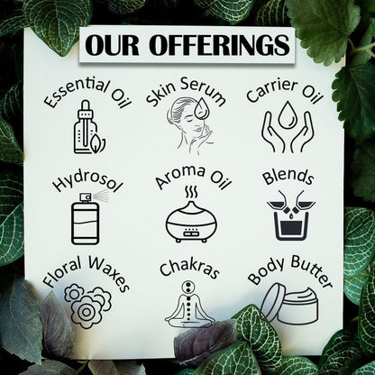 Deve Herbes Pure Bergamot Mint Essential Oil (Mentha citrata) Natural T- image 4