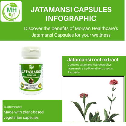 MORSAN HEALTHCARE | Jatamansi Capsules 500mg – 60 Count | Vegetarian | Plant-Based | Herbal Supplement | No Artificial Additives | Gluten-Free | Organic (pack of 1)