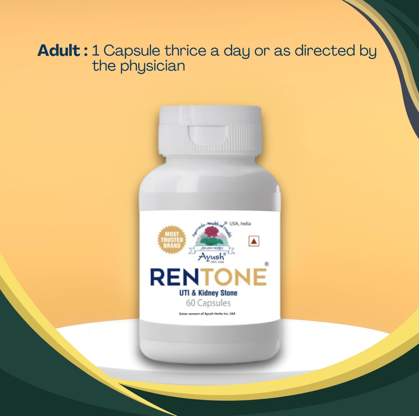 Ayush Herbs Rentone UTI & Kidney-Stone 60 Capsules | Ayurvedic Herbal Supplement | Medicine for Kidney Detox, Natural Support for Kidney-Stone