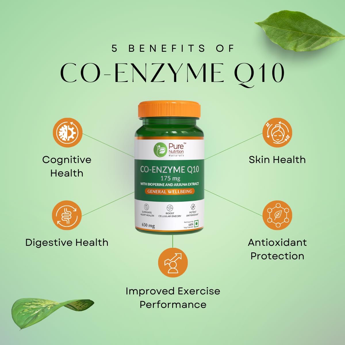 Pure Nutrition Bio Coenzyme Q10 175mg | Coq10 Supplement With Ubiquinol | High Absorption Coq10 Capsules For Heart Health, Energy & Antioxidant Support - 60 Veg Capsules