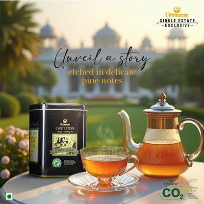 GOODRICKE Castleton Vintage Darjeeling Tea - 250gm (Pack of 1) | Single Estate Whole Leaf | 100% Loose Leaves | Premium Black Tea with Rich Taste & Aroma