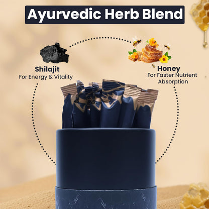 AYODH Shilajit Honey Sticks 30 Count | Pure Himalayan Classic Supplement | Supports Energy Vitality | Rich in Fulvic Acid Natural Honey | Pack of 2
