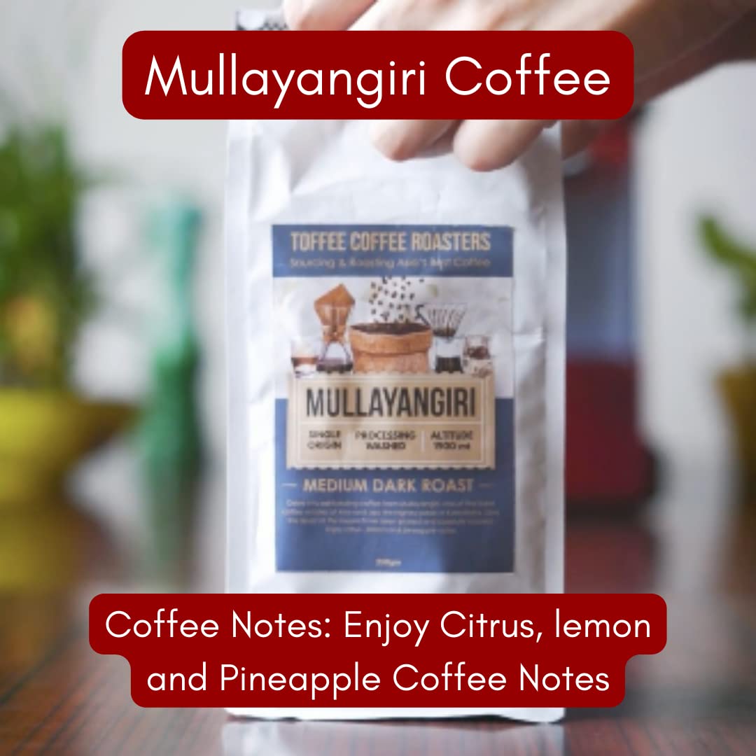 Toffee Coffee Roasters | Mullayanagiri Coffee, Medium Dark Roast, 250 g | Grind: Whole Beans, Single Origin, 100% Arabica | Speciality Coffee | Freshly Roasted