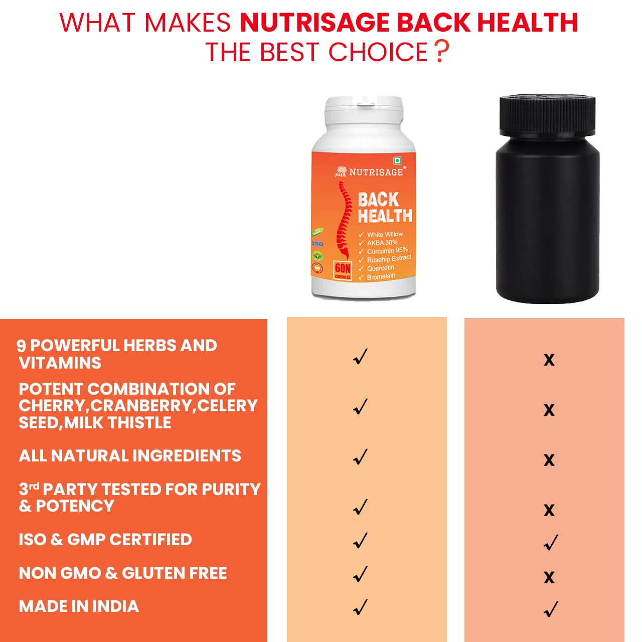 Nutrisage Back Health, Spine and Disc, Back Pain Relief with 9 Potent H- image 3
