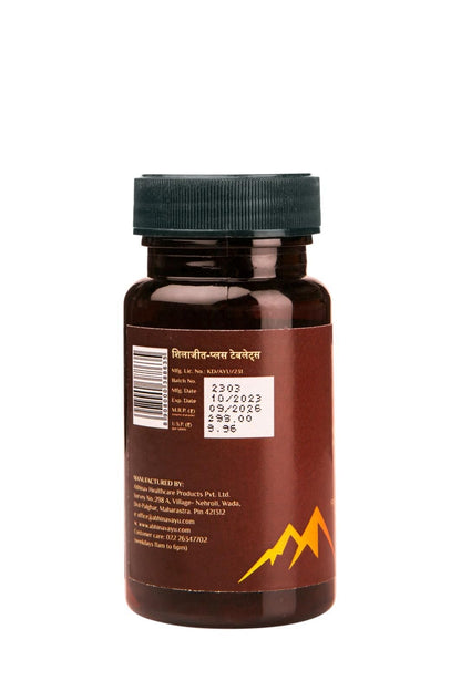 Abhinav Shilajit + Tablets | Stamina booster tablets | All-in-one energy supplement | Elevate your strength, stamina, and energy levels (30 Tablet (Pack of 1))