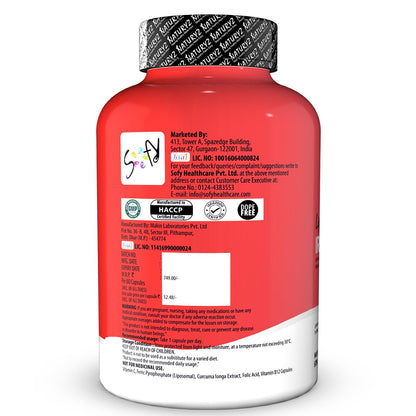 NATURYZ Liposomal Iron Capsules with Folic Acid, Vitamin B12, Vitamin C & Curcuma Longa | Liposomal Technology High Absorption Iron Supplement for Men & Women | Supports Hemoglobin, Energy & Immunity | Gentle on Stomach | 30 Veg Capsules