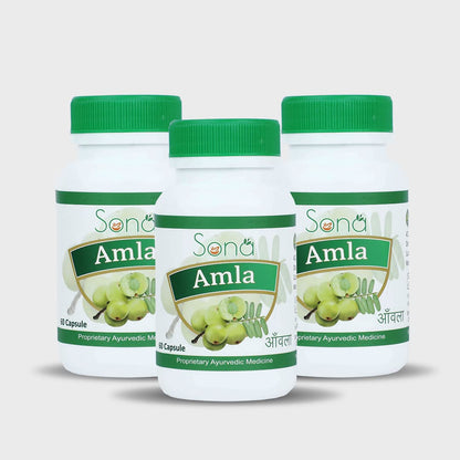 Sona Amla Powder Capsules supports Immunity Booster - 60 Capsules (Pack of 3)