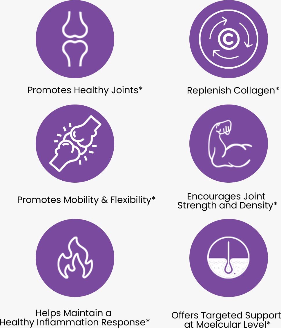 The Joints Co Ultra Ease with Type II Collagen, Glucosamine Chondroitin- image 5