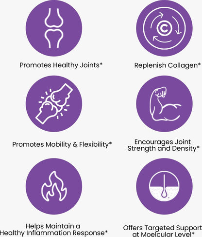 The Joints Co Ultra Ease with Type II Collagen, Glucosamine Chondroitin- image 5