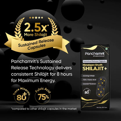 Panchamrit Himalayan Shilajit Sustained Release Capsules for Men & Wome- image 9