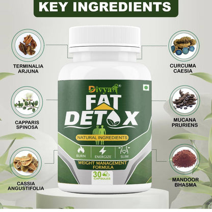 Divya Shree Fat Detox | Ayurvedic Capsules | Herbal Fat Burner for Weight Management & Metabolism Boost (30 capsules)