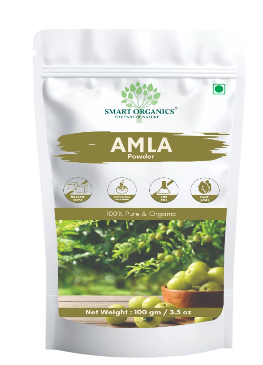 Smart Organics Amla Seedless Powder | Pure and Natural Indian Gooseberry Powder | Rich in Vitamin C & Antioxidants No Additives | Supports Hair, Skin and Immunity (100g)