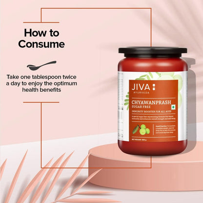 Jiva Sugar Free Chyawanprash | 500gm (Pack of 1) | 100% Pure & Natural- image 4