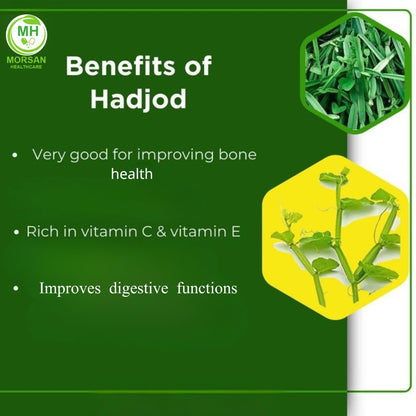 MORSAN HEALTHCARE | Hadjod Capsules 500mg – 60 Count | 1 Pack | Vegetarian | Plant-Based | Herbal Supplement | No Artificial Additives | Gluten-Free | Organic |