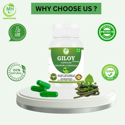 Morsan's Giloy (Tinospora cordifolia) Capsules, Pack of 60 x 500 mg. Veg. Capsules (1)