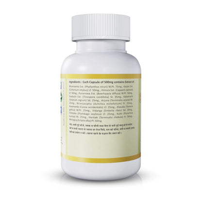 Jeena Sikho LIV-DS | Ayurvedic Supplement For Liver Care | Naturally Blended With Bhumiamla, Kasani, And Himsra | Herbal Remedy For Good Health, 60 Capsules