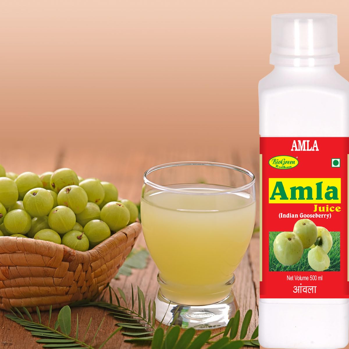 Biogreen Healthcare Amla Juice 500 ML