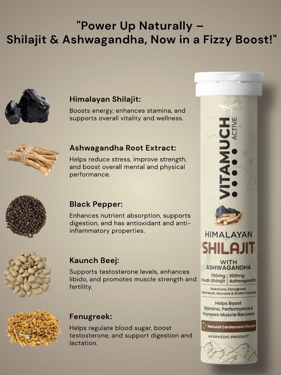 Vitamuch Shilajit Effervescent Tablets with Ashwagandha Gokshura Safed Musli | Cardamom Flavour | Daily Wellness Drink Tablets | 30 Tablets Pack of 2
