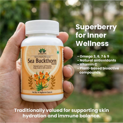 Pushpveda Sea Buckthorn Extract Capsules 500mg | Himalayan Seabuckthorn with Omega 3, 6, 7 & 9 | Natural Antioxidant Supplement for Skin, Immunity & Daily Wellness | Veg Capsules | 60 Capsules