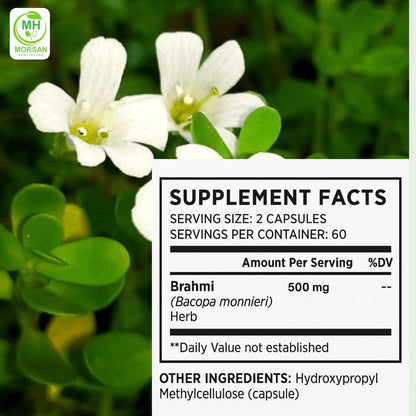 Morsan healthcare Brahmi Capsules 500 mg – 60 Veg Capsules x 2 Pack | Bacopa Monnieri | Herbal Supplement | Vegan Extract | No Additives or Preservatives, plant bsed