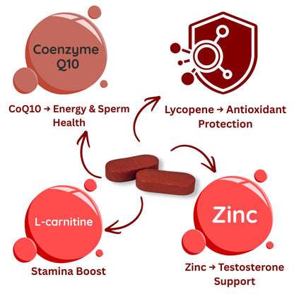 Knoll Healthcare Fertinol-Q10, Coenzyme Q10 (CoQ10) with L-Carnitine, Lycopene & Zinc Tablets | Supports Heart Health, Energy Production, Immunity & Antioxidant Support | Vegetarian Dietary Supplement (10 Capsules)