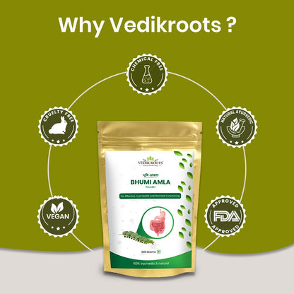 Vedikroots Bhumi Amla Powder/Churn - Organic And Pure Ingredient Extrac- image 2